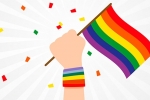 Lgbtqi Banner