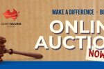 Online Auction