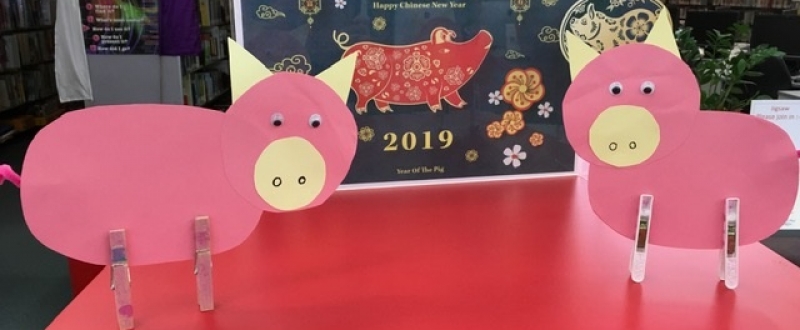 Library Display Year Of The Pig