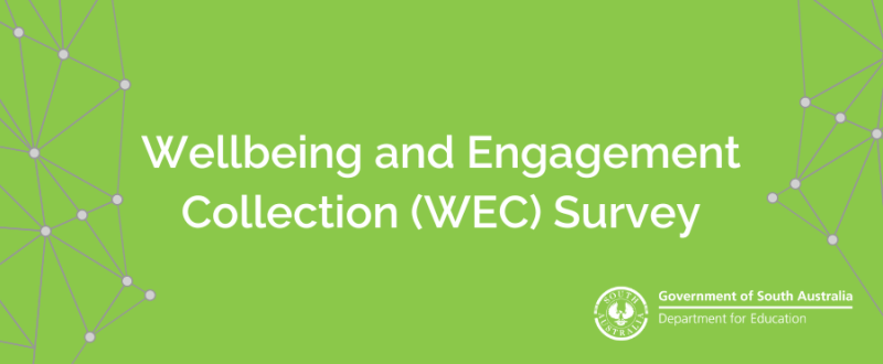 WEC Survey