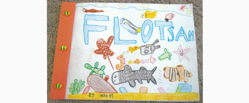 Flotsam cover