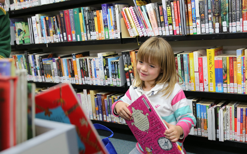 Library News SOTA